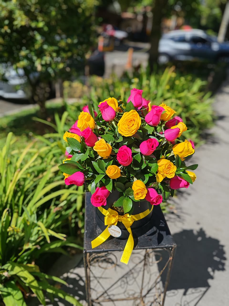 Luz de Primavera (2)
