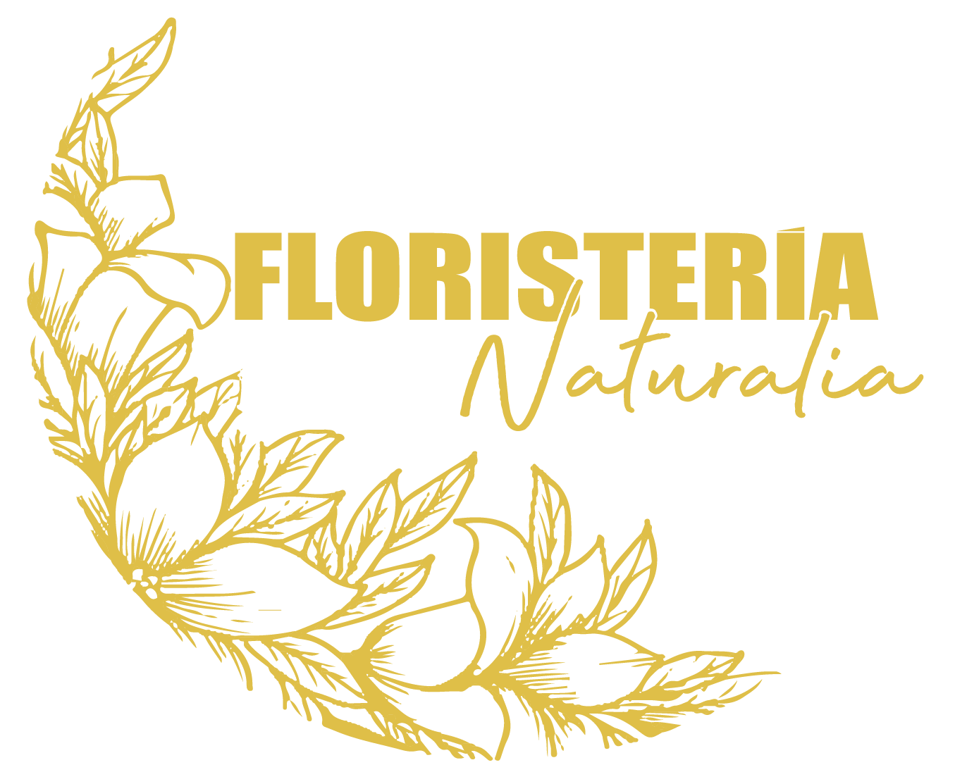 Floristeria Naturalia